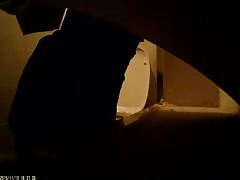 toilet cam