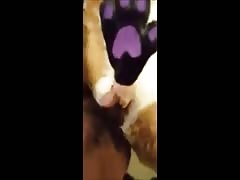 Man fucks a girl in a fursuit